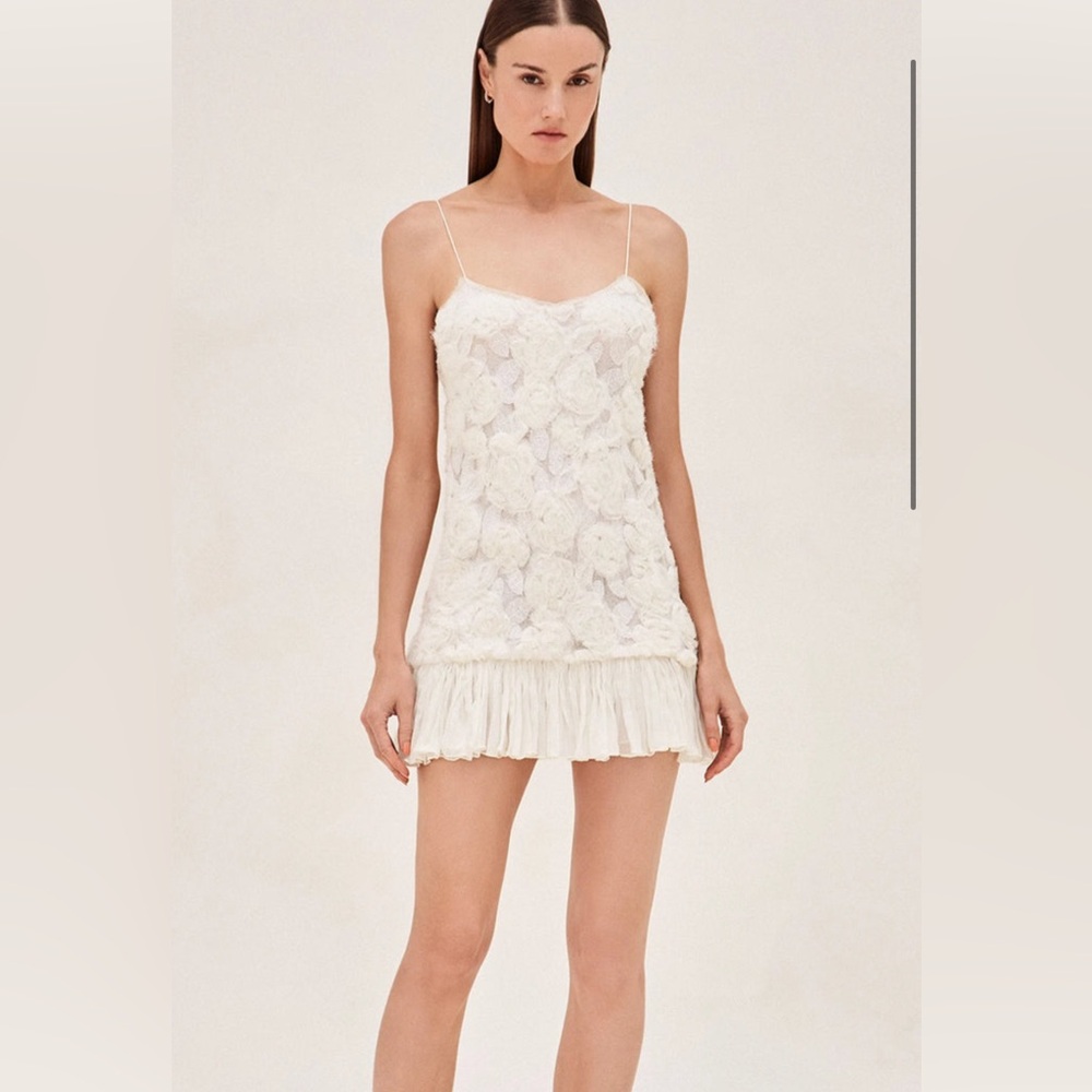 ALEXIS BLANC DRESS SIZE XL. Worn once for a party and dry cleaned. Like new